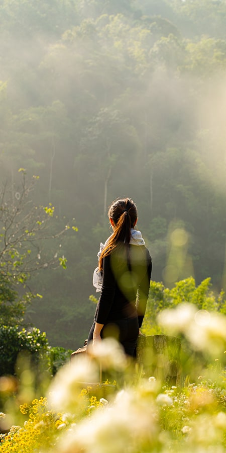 healing-journey-covert-abuse